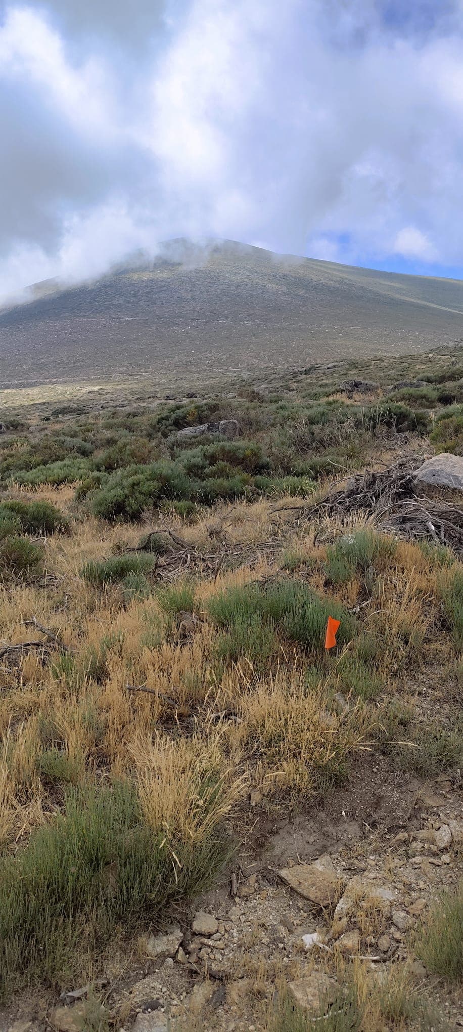 Sendero marcado de la Serrota
